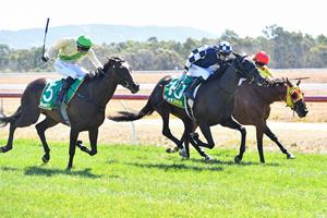 CUPID GOES WAY BACK FOR O'BRIEN